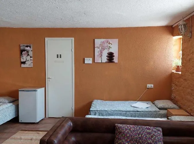 ホステル31 ホステル